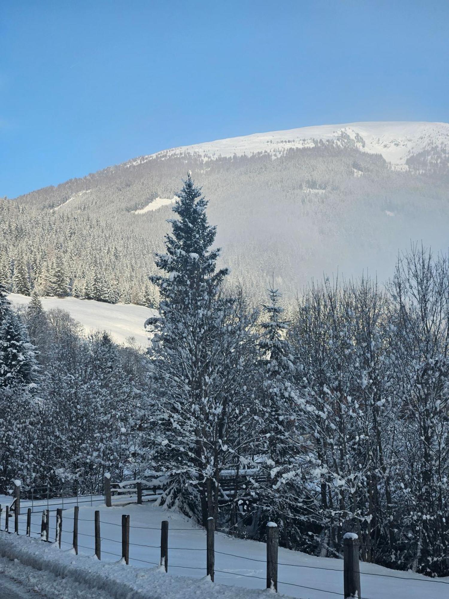 Landhotel Lacknerhof Mariapfarr Εξωτερικό φωτογραφία